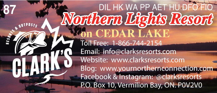 Clark's Northern Lights Resort